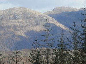 Fearnoch Forest,Views-Oban-What To Do-Attractions-Scotland