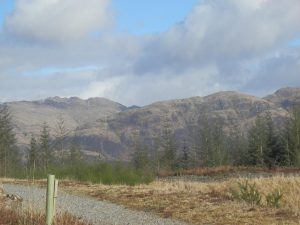 Fearnoch Forest,Trails-Oban-What To Do-Attractions-Scotland