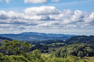 Carnassiere Castle-Nr Oban-Kilmartin-What To Do-Castles-Scotland