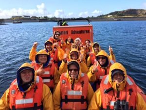Seafari Adventures,Tours-Oban-What To Do-The Sea-Scotland