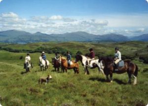 Achnalarig Riding Stables,Trekking-Oban-What To Do-Activities-Scotland
