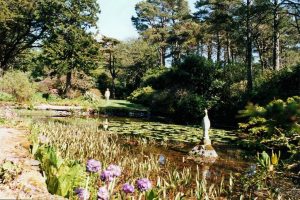 Arduaine Gardens-What To Do-Attractions-Oban-Scotland