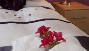 Katie's Flat, accommodation and where to stay,Self Catering, Oban, Scotland