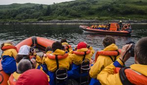 Seafari Adventures, Things To Do, Activities, Easdale nr Oban