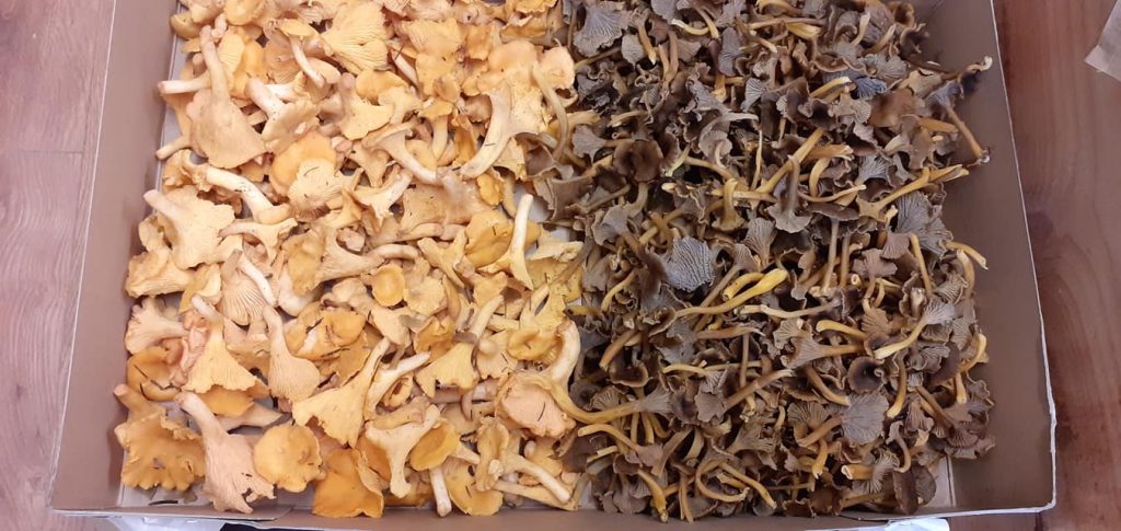 Taste of Argyll Kitchen , Restaurants, Oban, Argyll, Scotland