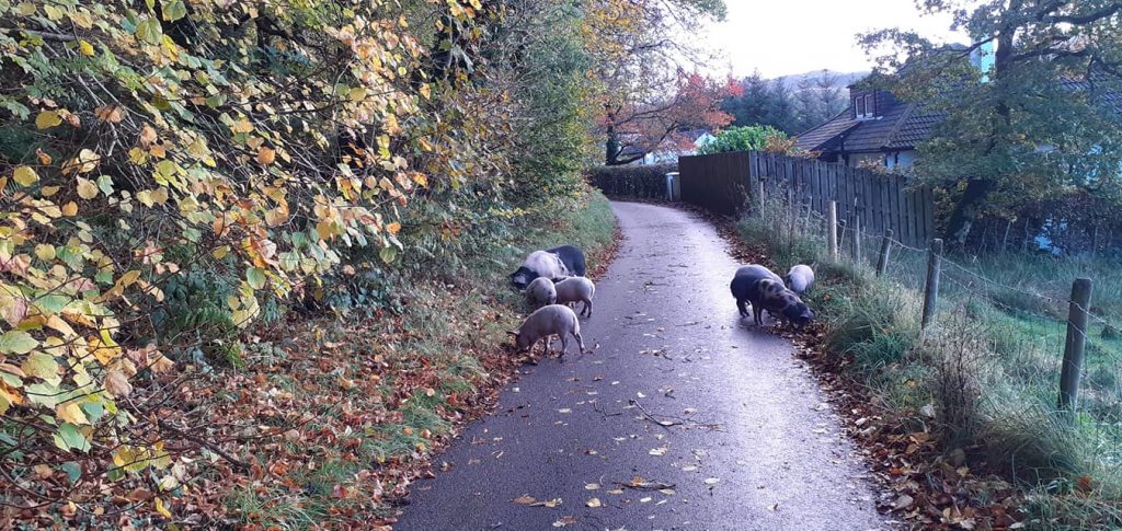 Taste of Argyll Kitchen , Restaurants, Oban, Argyll, Scotland