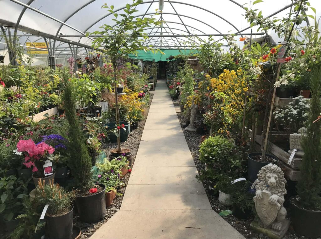 Corachie Clematis Garden Centre & Coffee Shop
