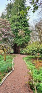 Dunollie Castle Grounds, Woodland Trail
